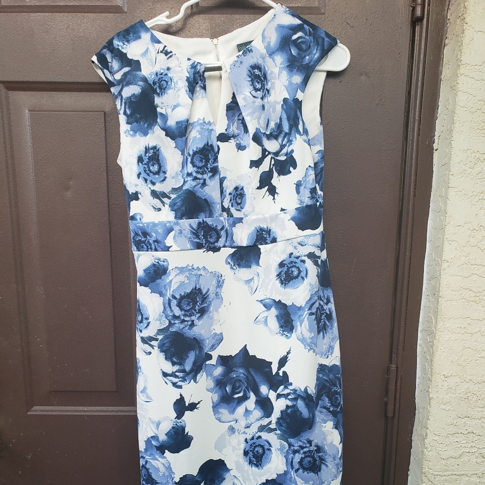 White and blue flower dress